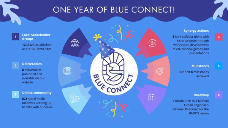 Blue-Connect_1-year