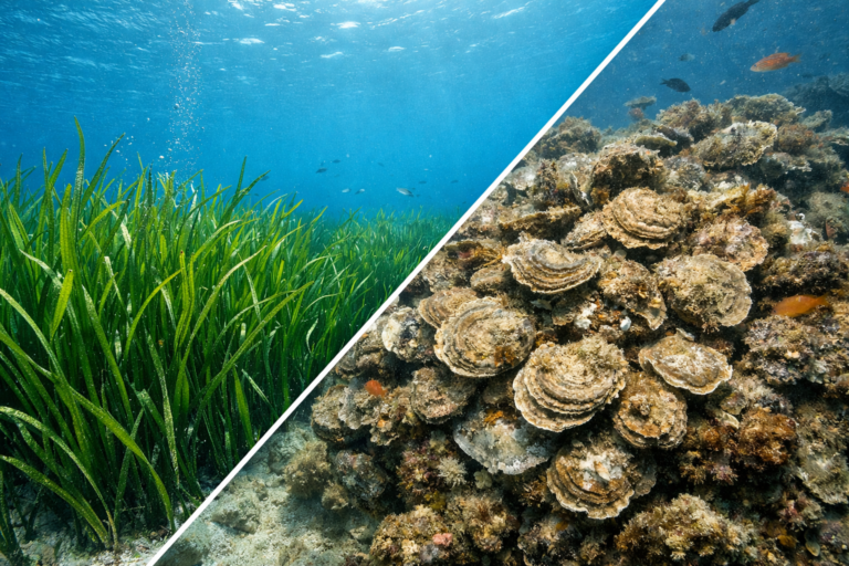 ChatGPT Image Jan 14, 2026, 05_20_05 PM