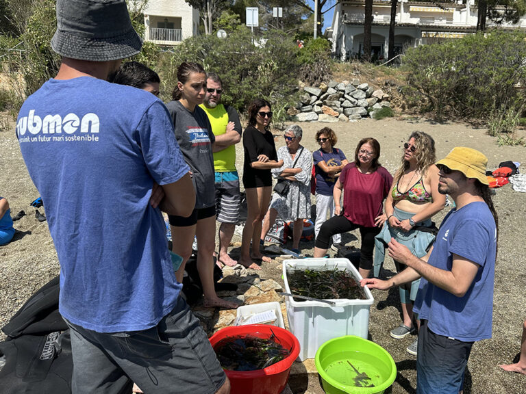 volunteer group in L'Albera