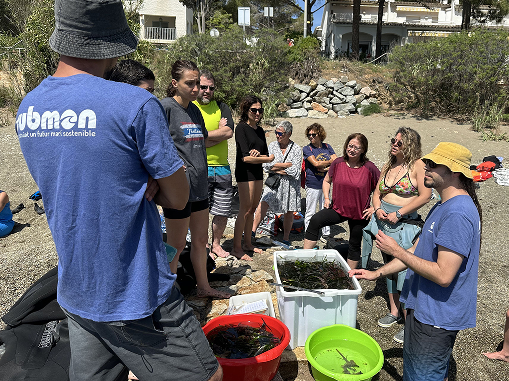 volunteer group in L'Albera